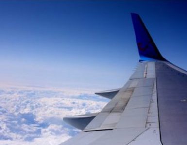 Trainee vs Intern J1 Visa