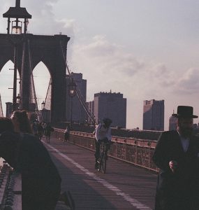 Job Opportunity New York