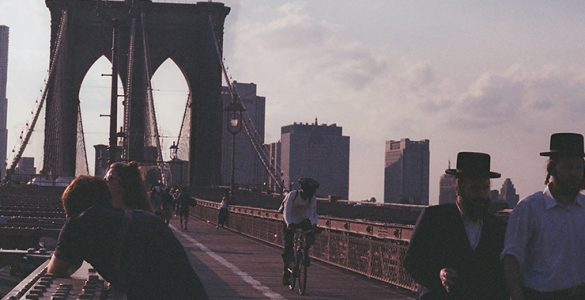 Job Opportunity New York