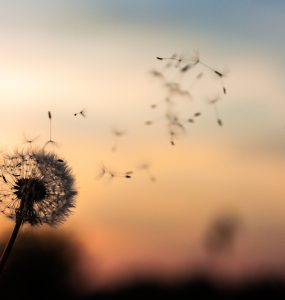 first impressions about USA