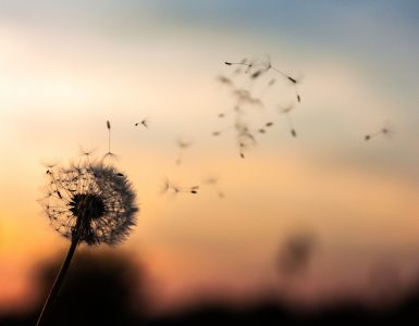 first impressions about USA