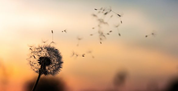 first impressions about USA