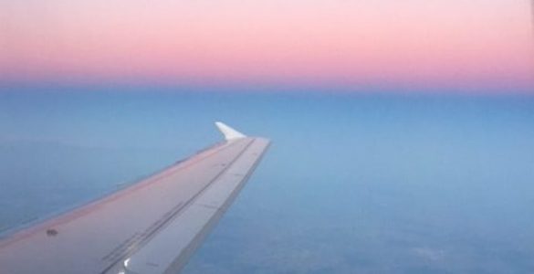 California_ArchitectUS