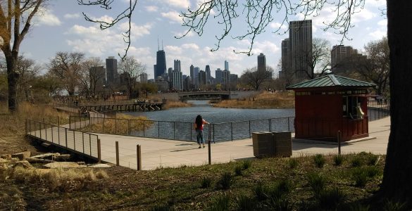 Architect-US makes me go to America