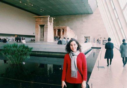 MET Museum in New York