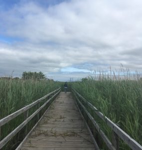 False Cape State Park