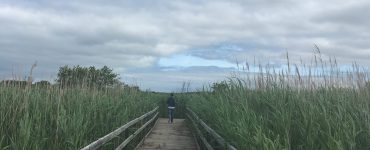 False Cape State Park