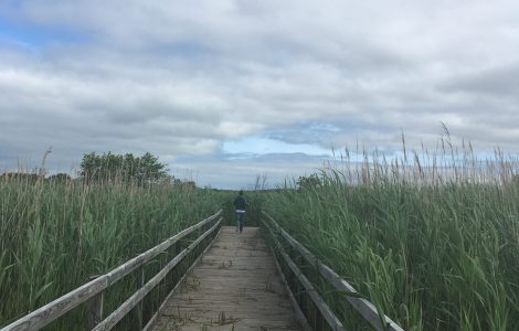 False Cape State Park