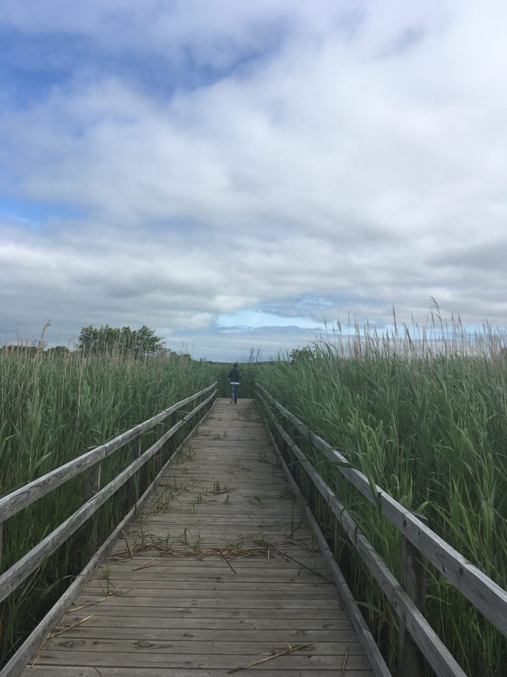 False Cape State Park
