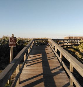 Florida Beach: Dunes by Rosa