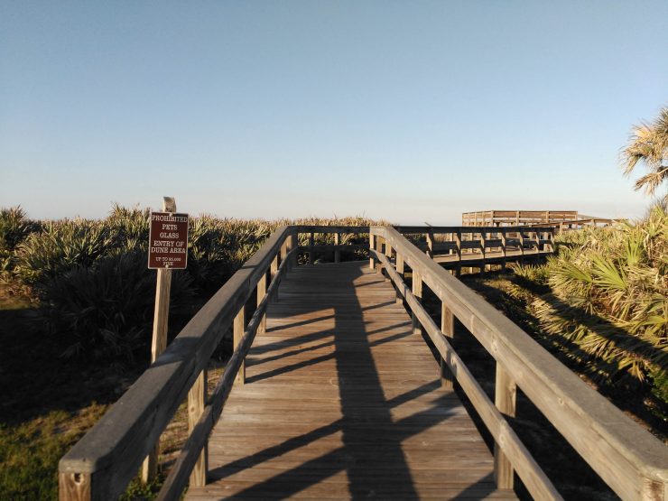 Florida Beach: Dunes by Rosa