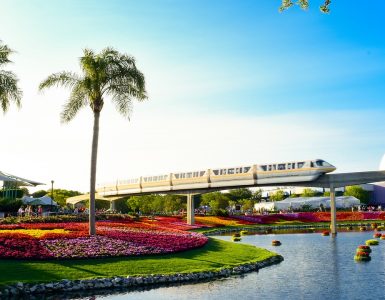 RVJA_Orlando_Opportunity