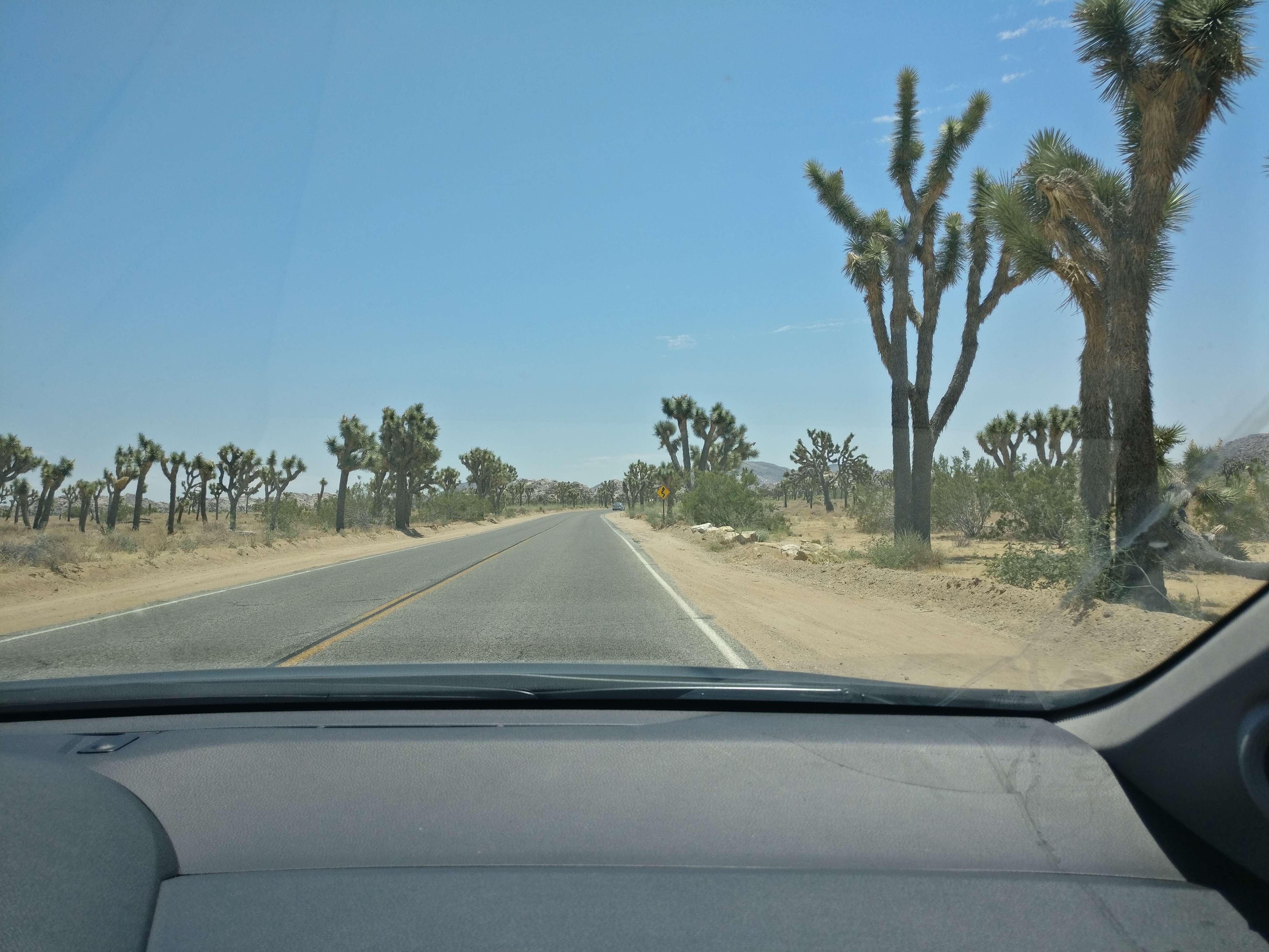 Joshua Tree_Trip