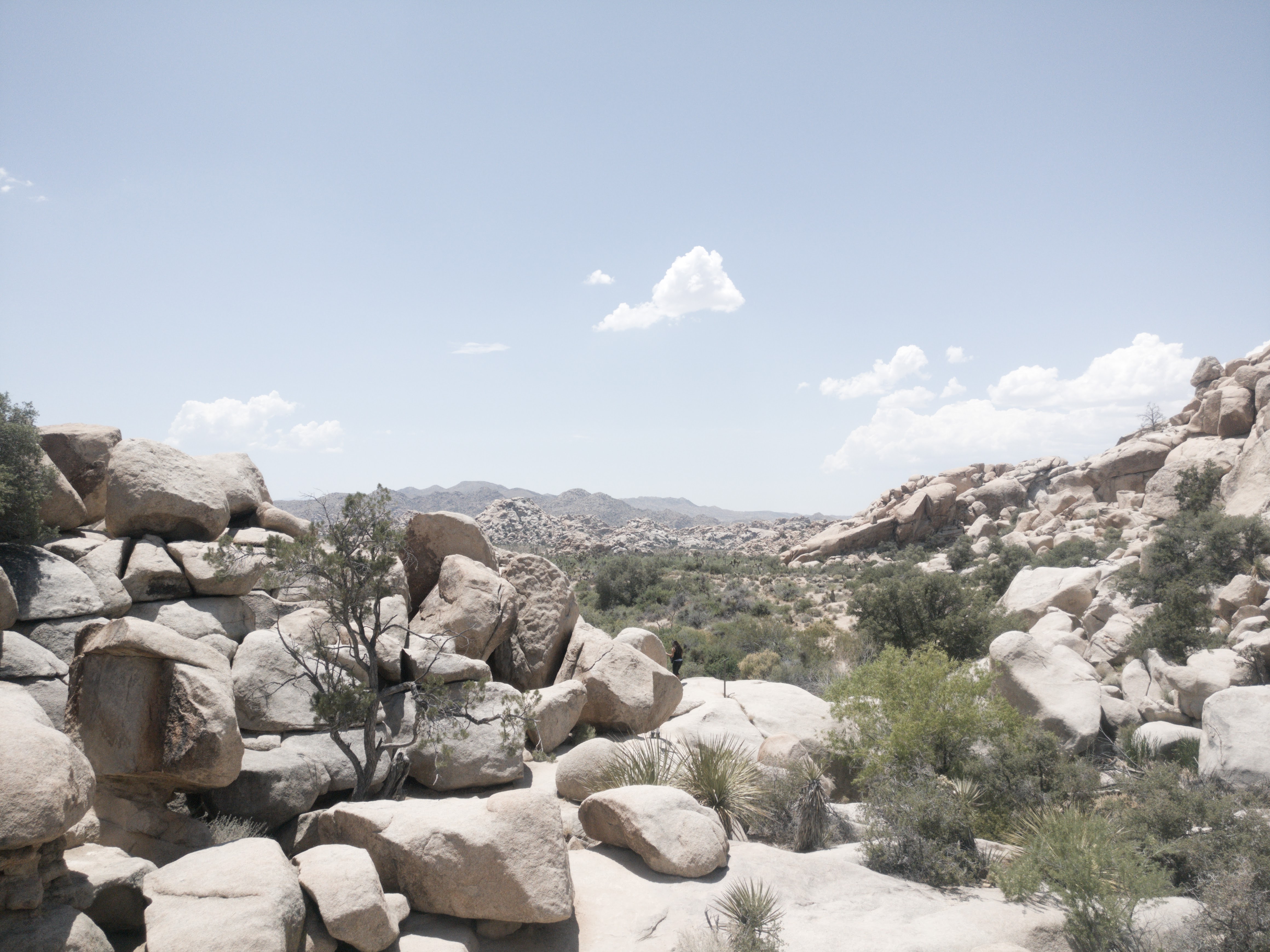 Joshua Tree_ National Park