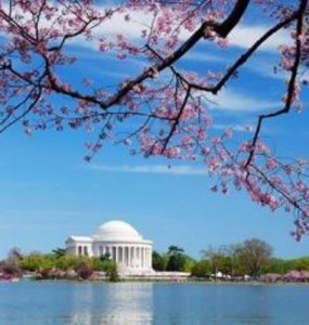 Washington_Spring