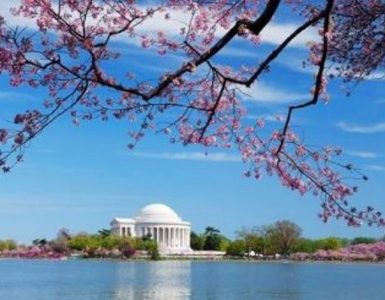 Washington_Spring