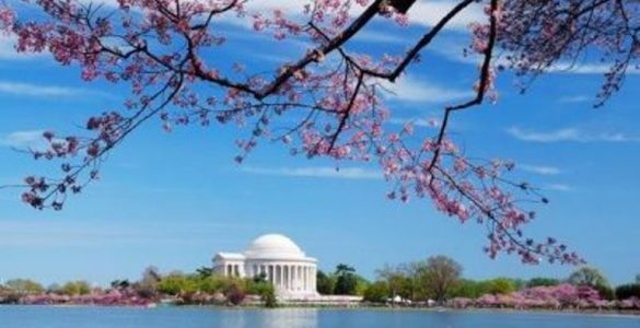 Washington_Spring