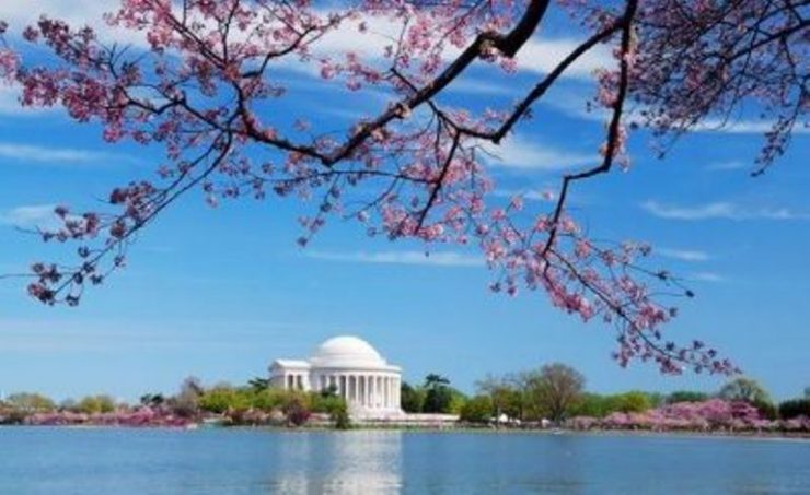 Washington_Spring