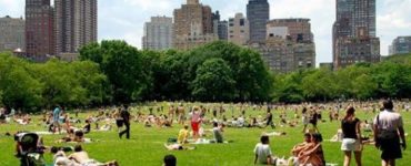 Summer in Manhattan