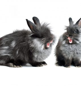 Architecture-related jokes