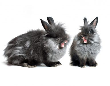 Architecture-related jokes