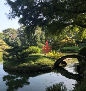 Broklynn Botanical Garden