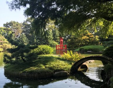 Broklynn Botanical Garden
