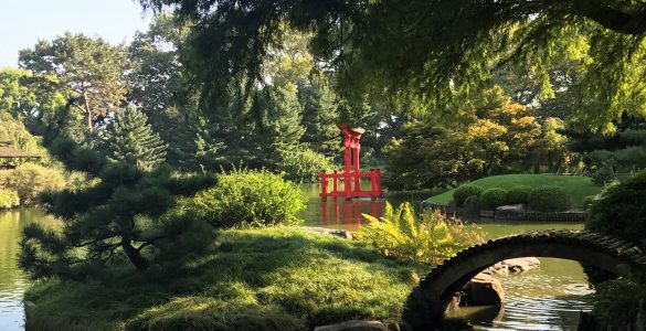 Broklynn Botanical Garden
