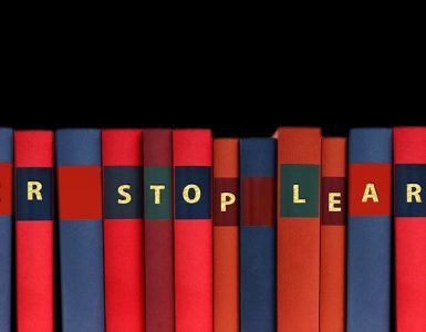 Studies or Experience