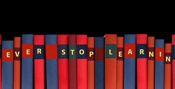 Studies or Experience