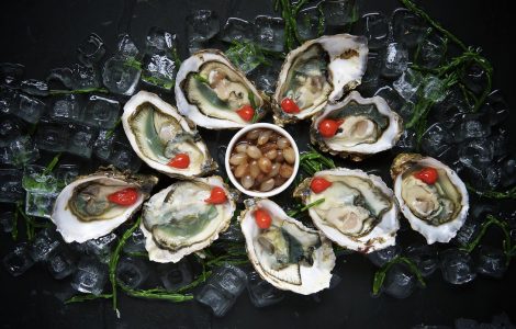 Oysters