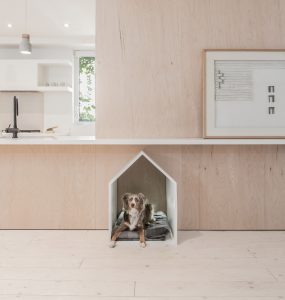 Dogs house forniture