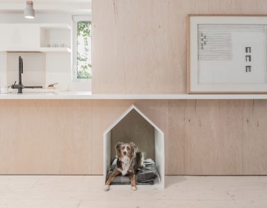 Dogs house forniture