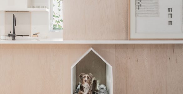 Dogs house forniture