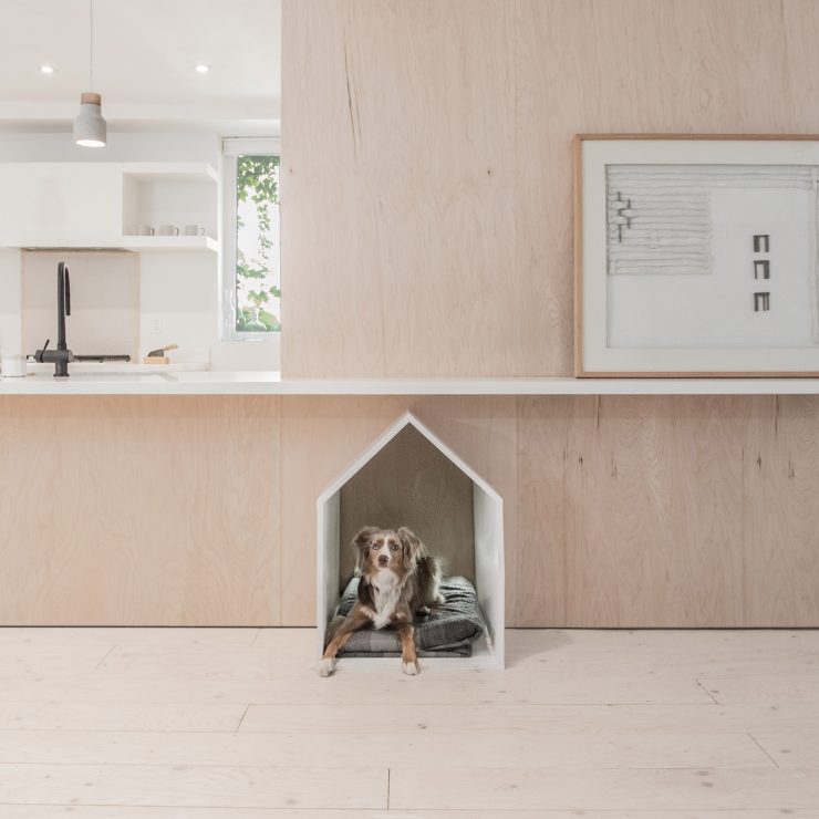 Dogs house forniture