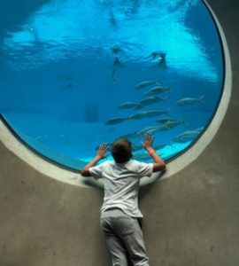 aquarium Frost Museum