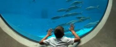 aquarium Frost Museum