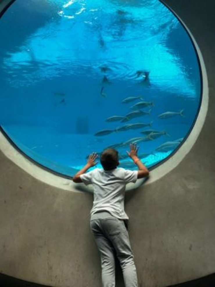 aquarium Frost Museum