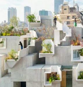 Tokio House concrete