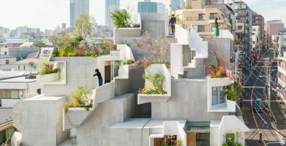 Tokio House concrete