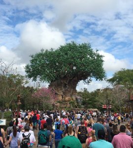 Disney World Orlando