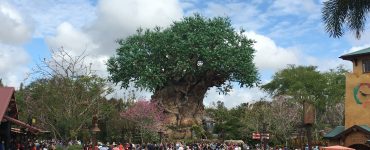 Disney World Orlando