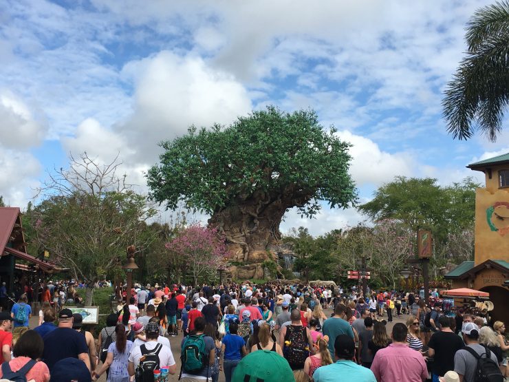 Disney World Orlando