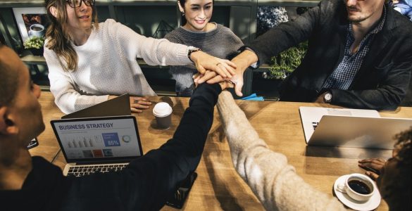How to survive at your first job