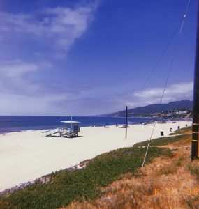 architect working in Venice Beach