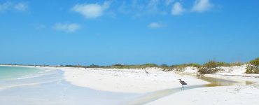 honeymoon island