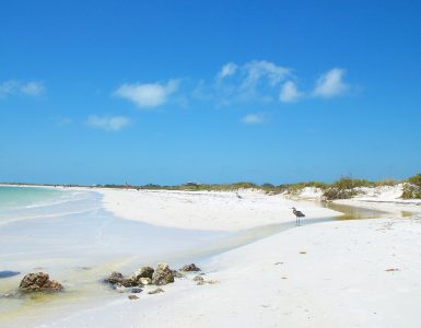 honeymoon island