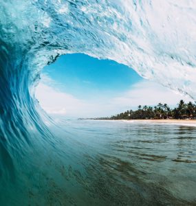 Venice Surfing Culture