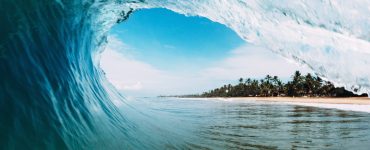 Venice Surfing Culture