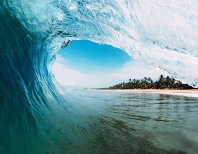 Venice Surfing Culture